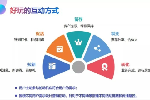 万娱网络，探索数字娱乐的新边界，用户亲身体验与洞见