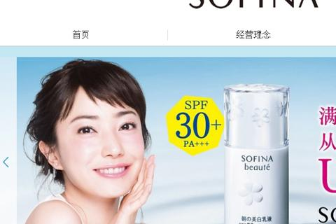 网站优化时主要优化哪一个域名，选择、策略与效果