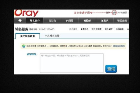 申请免费域名和空间而制造出的网站可行吗？