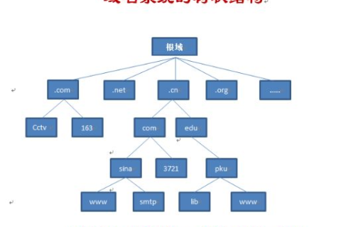单选题域名，树状结构与InterNIC管理解析