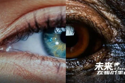 诺言网络，探索其实际应用与未来挑战