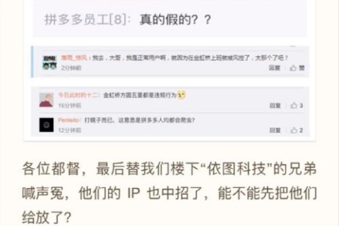 深入解读看网数据的实用性与用户需求分析