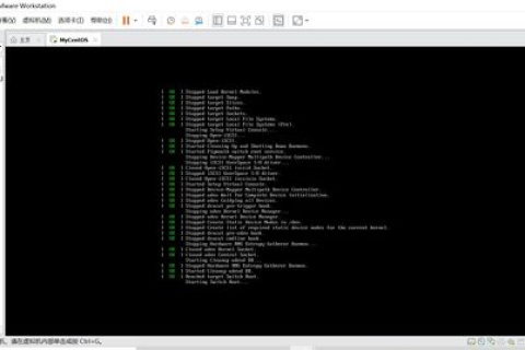 探索国内虚拟主机，为何选择Linux操作系统