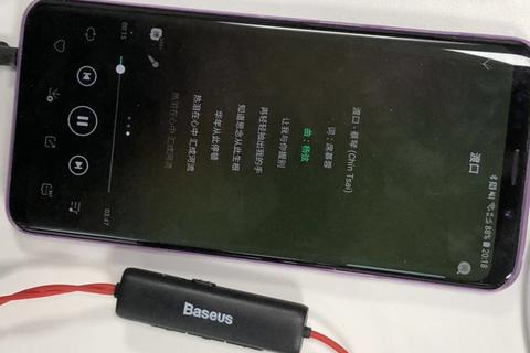 虚拟主机与独立主机的区别与用途解析
