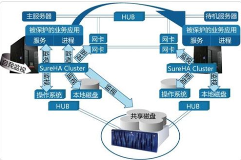 虚拟空间主机与服务器租用，差异解析与选择指南