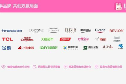打造个人品牌，选择优质域名构建你的在线王国