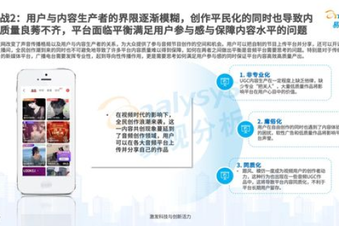 华明网络，用户体验、优势与挑战并存的数字平台