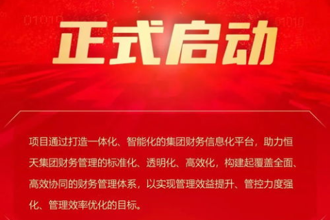 数脉科技，创新引领，赋能企业数字化转型新篇章