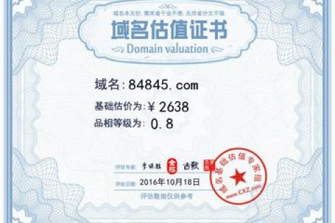 域名估价，专业视角的深度解析