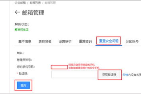 163邮箱自定义域名与MX记录设置全解析，从申请到通过