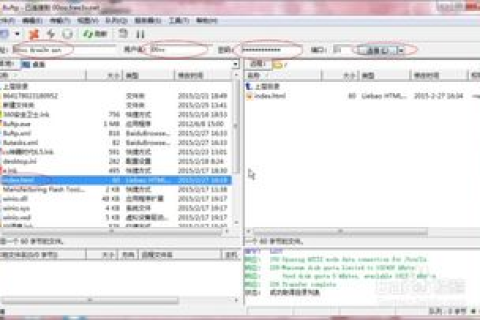 建设网站都需要什么，从域名、空间、源代码到FTP上传工具的全面解析