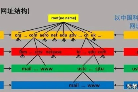 域名服务器的子网掩码为什么全1 域名服务器的子网掩码为什么全1