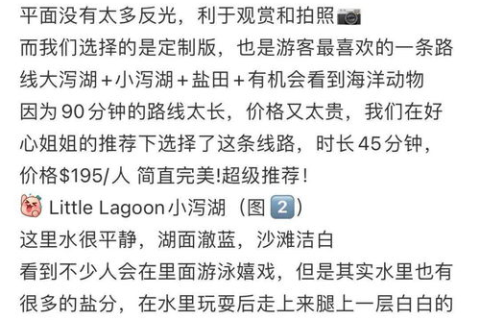 终天网络使用体验,一段难忘的数字之旅 终天网络使用体验,一段难忘的数字之旅
