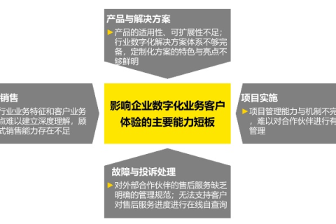 睿虎网络企业数字化转型的可靠伙伴,用户体验与成效深度解析 睿虎网络企业数字化转型的可靠伙伴,用户体验与成效深度解析