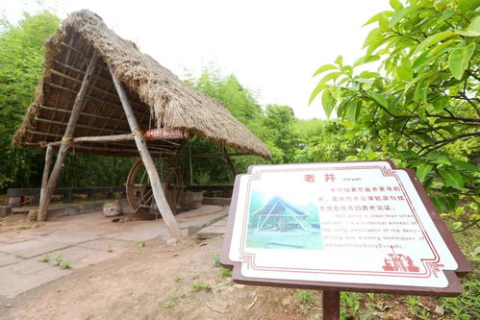 专访卓数互联用户心声,数字时代的智慧连接体验 专访卓数互联用户心声,数字时代的智慧连接体验