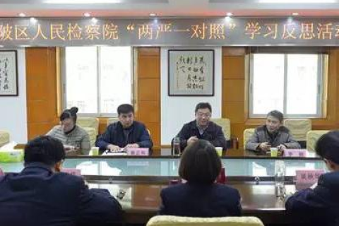 骄阳网络,用户体验与深度解析 骄阳网络,用户体验与深度解析