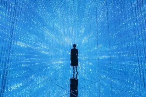 偶然网络,探索未曾涉足的网络奇境 偶然网络,探索未曾涉足的网络奇境